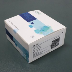 CK-MB Rapid Test