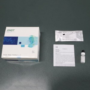 CK-MB Rapid Test