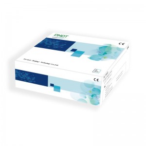 N-MID Rapid Test